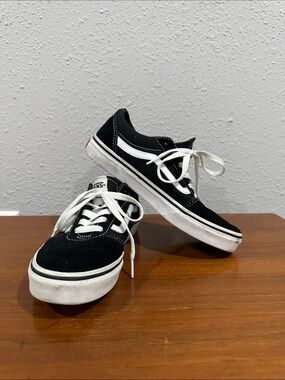 Vans Black & White Low-Top Skate Sneakers